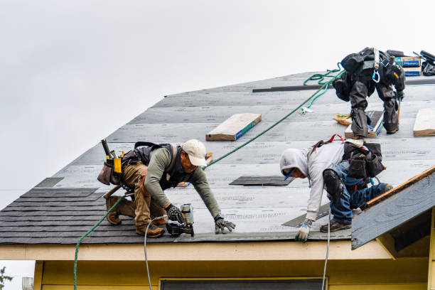 Professional Roof Repair technician working in Rockland, MA